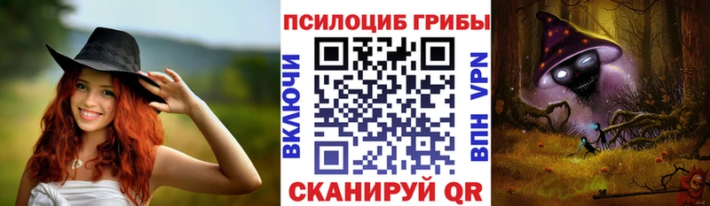 цены наркотик  Болохово  Псилоцибиновые грибы GOLDEN TEACHER 
